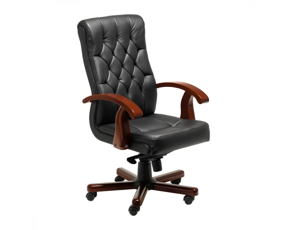 Кресло Darwin B