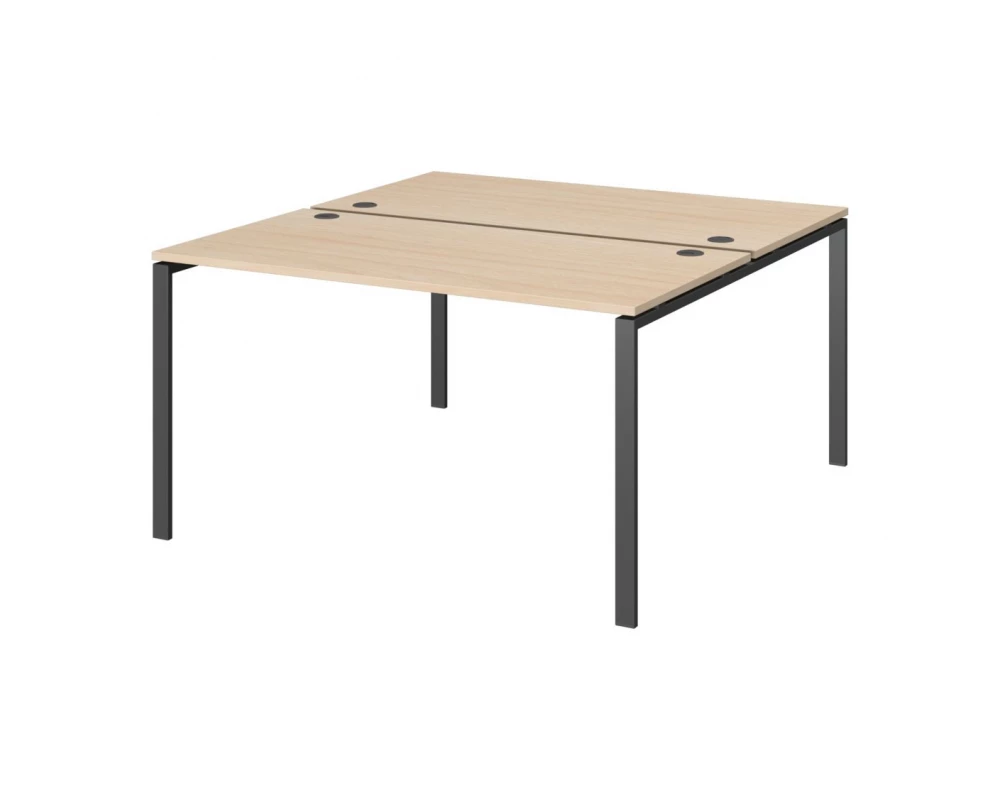 Бенч двойной на 2 рабочих места АМБ-005.60 Арго-М